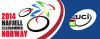 CHAMPIONNATS DU MONDE DE VTT MASTER A HAFJELL